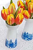 TULIPA HOLLAND QUEEN