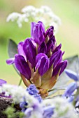 SPRING BOUQUET IN SILVER VASE DETAIL WITH RHODODENDRON