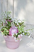 SPRING BOUQUET IN PINK FLOWER POT