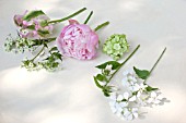 SPRING BOUQUET IN PINK FLOWER POT - DETAIL OF FLOWERS USED