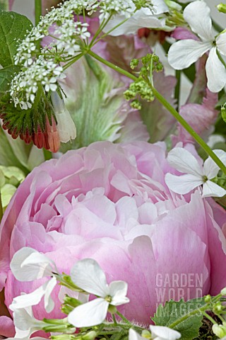 SPRING_BOUQUET_IN_PINK_FLOWER_POT__PAEONIA