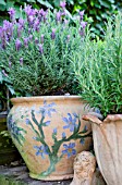 CONTAINERS WITH HERBS  LAVANDULA STOECHAS AND ROSMARINUS OFFICINALIS