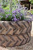 TRACTOR TYRES WITH LAVANDULA