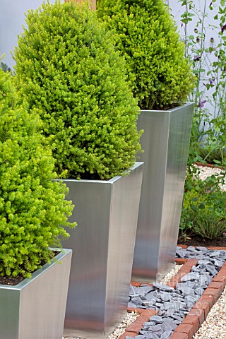 PICEA_IN_MODERN_CONTAINERS
