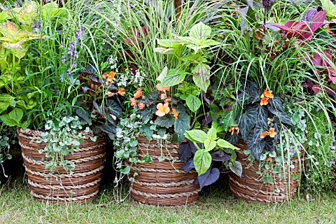 MIXED_SUMMER_CONTAINERS