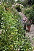 FEATURE LAVANDEE  GRAVEL PATH AND BORDERS