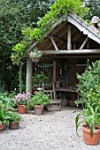 FEATURE LAVANDEE  POTTING SHED