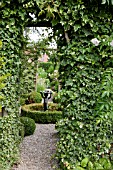 FEATURE LAVANDEE  ARCH WITH HEDERA