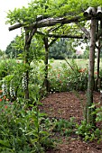 FEATURE LAVANDEE  ARBOUR AND WILD FLOWER BED