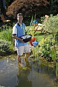 PLANTING UP POND WIH PLANTS, WATER GARDEN MAINTENANCE WORKS.