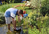 PLANTING UP POND WIH PLANTS, WATER GARDEN MAINTENANCE WORKS.