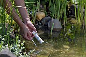 POND MAINTENANCE CHECKING POND CHEMISTRY BALANCE