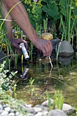 POND MAINTENANCE CHECKING POND CHEMISTRY BALANCE
