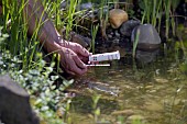POND MAINTENANCE CHECKING POND CHEMISTRY BALANCE
