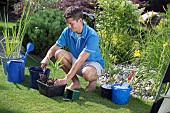 PLANTING UP BASKETS FOR POND