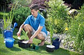 PLANTING UP BASKETS FOR POND