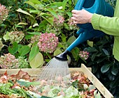 WATERING COMPOST