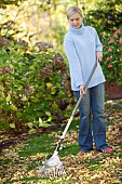 RAKING AUTUMN LEAVES