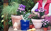 CONTAINER PLANTING