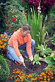 YOUNG LADY PLANTING PERENNIALS IN THE BORDER