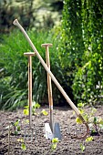 GARDEN TOOLS IN VEGETABLE BED