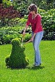 LADY TRIMMING BUXUS TOPIARY WITH SHEARS