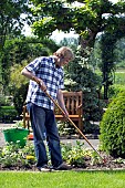 HOEING IN BED, REMOVING WEEDS AERATING SOIL.