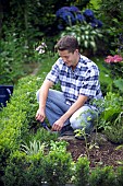 HARVESTING CUTTING OFF ROSEMARY -HERBS KITCHEN PLANTS