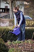 WATERING BUXUS HEDGERestriction:( English Speaking Territories Only)