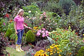 WOMAN WATERING FLOWERS IN GARDEN BED