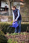 WATERING BUXUS HEDGERestriction:( English Speaking Territories Only)