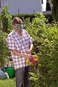 PERSON CUTTING PRUNING HEDGES WITH ELECTRIC TRIMMER