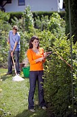 PERSON CUTTING PRUNING HEDGES