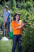 PERSON CUTTING PRUNING HEDGES