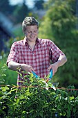 PERSON CUTTING PRUNING HEDGES