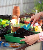 SOWING SEEDS - ADDING SOIL TO TRAY