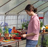 RE-POTTING SEEDLINGS