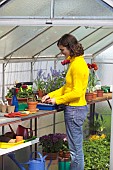 RE-POTTING SEEDLINGS