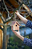 HANGING A BIRD HOUSE