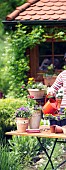 WATERING PLANTS - CONTAINER PLANTING