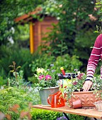 SUMMER PLANTING - CONTAINER PLANTING