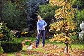 JOBS FOR AUTUMN - RAKING LEAVES