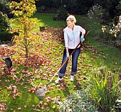 JOBS FOR AUTUMN - RAKING LEAVES