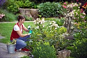 DEADHEADING ROSES