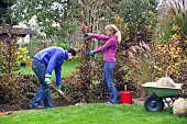 PLANTING A BEECH HEDGE - BACK FILLING