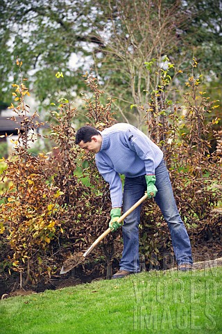 PLANTING_A_BEECH_HEDGE__BACK_FILLING