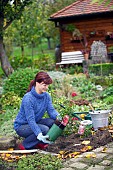 PLANTING A ROSE