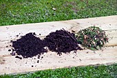 COMPOST DEVELOPMENT