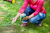 LAWN CARE - SEEDING