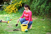 LAWN CARE - COVERING SEEDS WITH SOIL